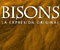 Bisons